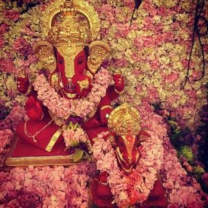 Meet your Posher, Bakula